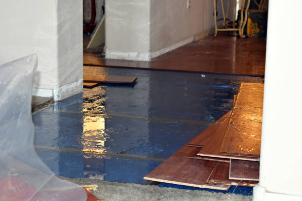 Professional Water Damage Restoration technician working in Lakeview, OH